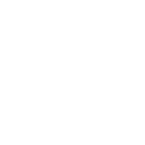 fsb-logo-white-trans
